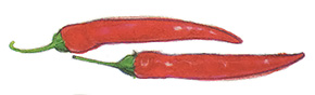 Bright red cayenne peppers usually grow to about six inches in length. These chilies are typically dried and ground into spice powder or used for bottled hot sauces.